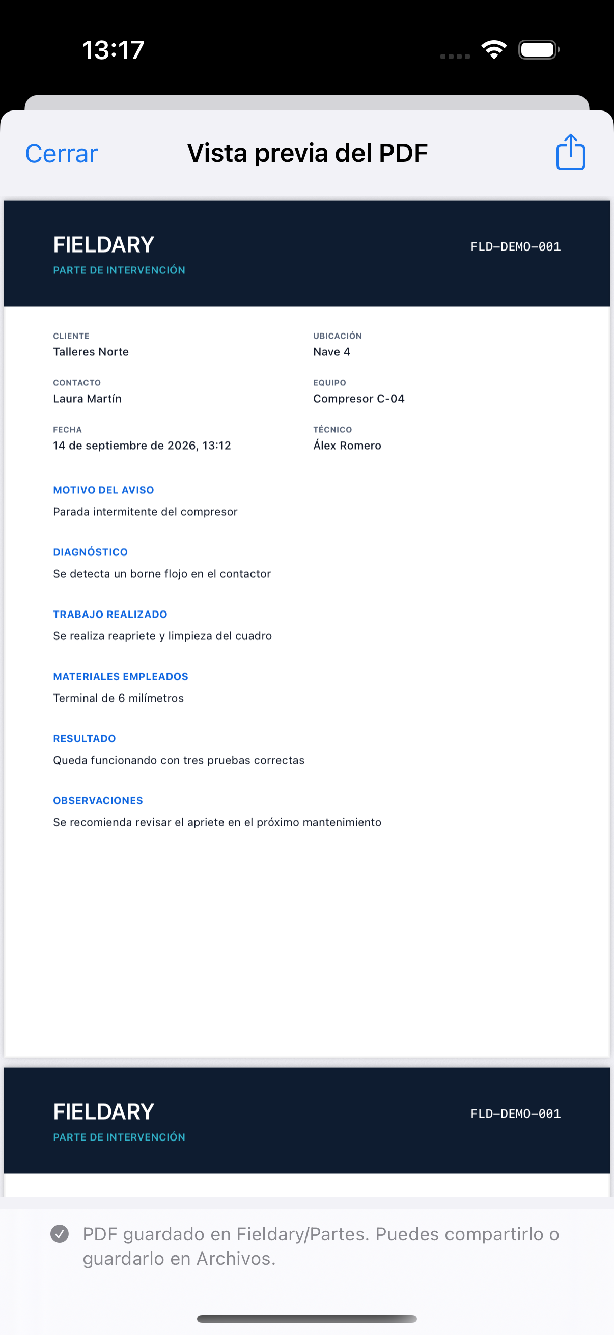Vista previa del PDF con los campos técnicos separados